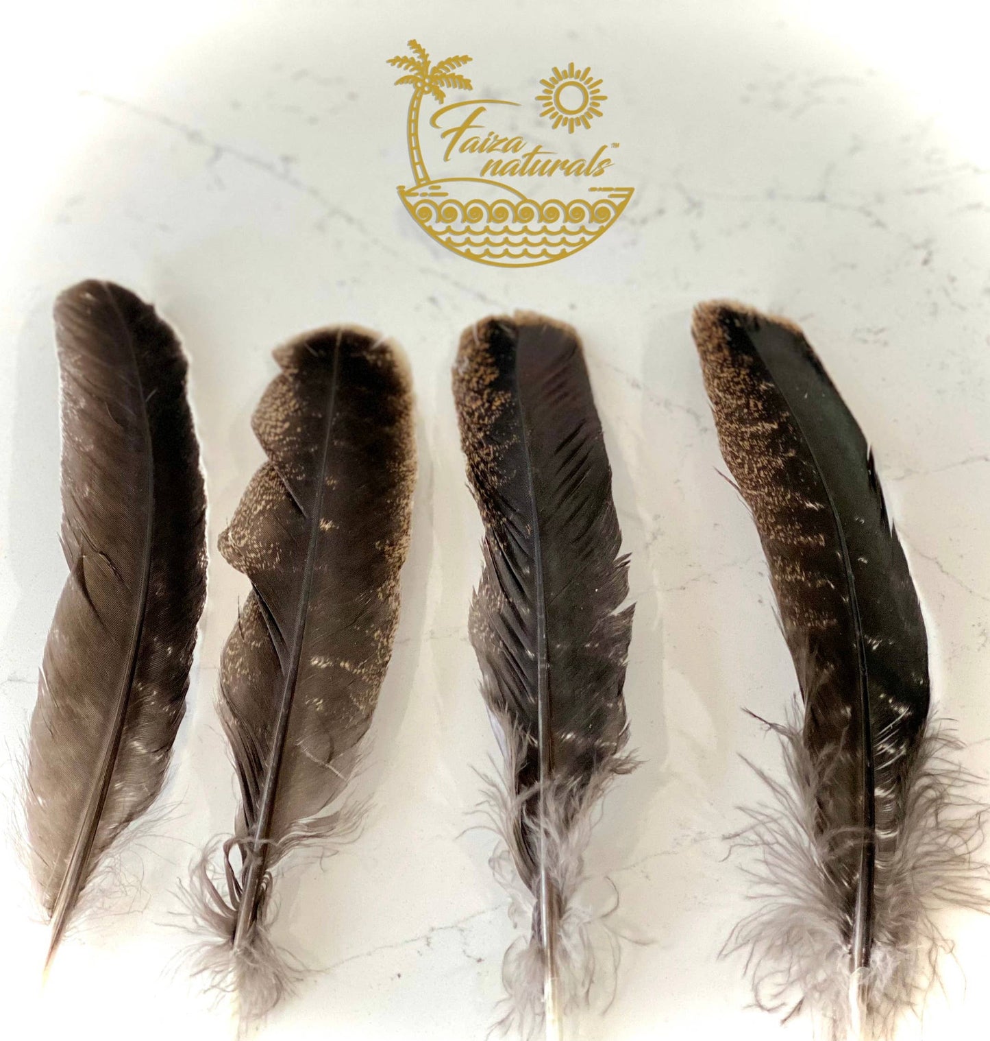Smudging Feather