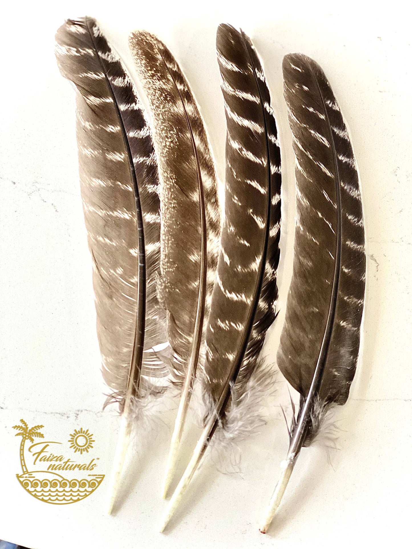 Smudging Feather
