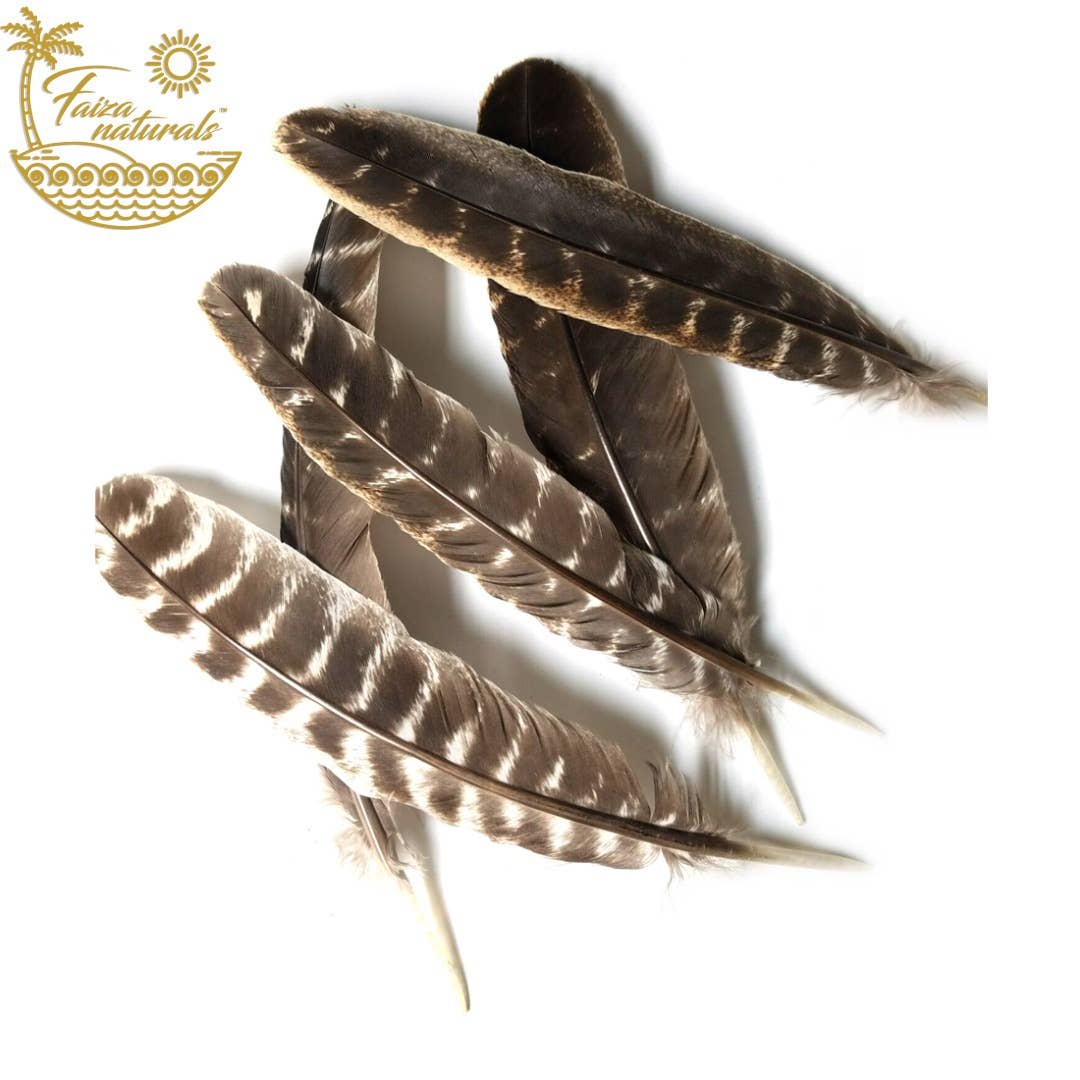 Smudging Feather