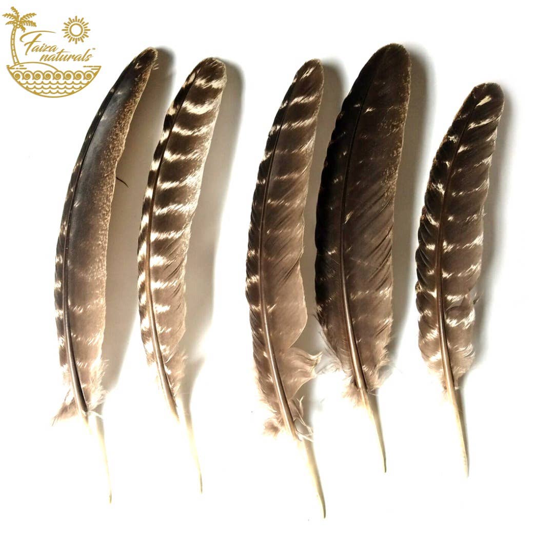 Smudging Feather