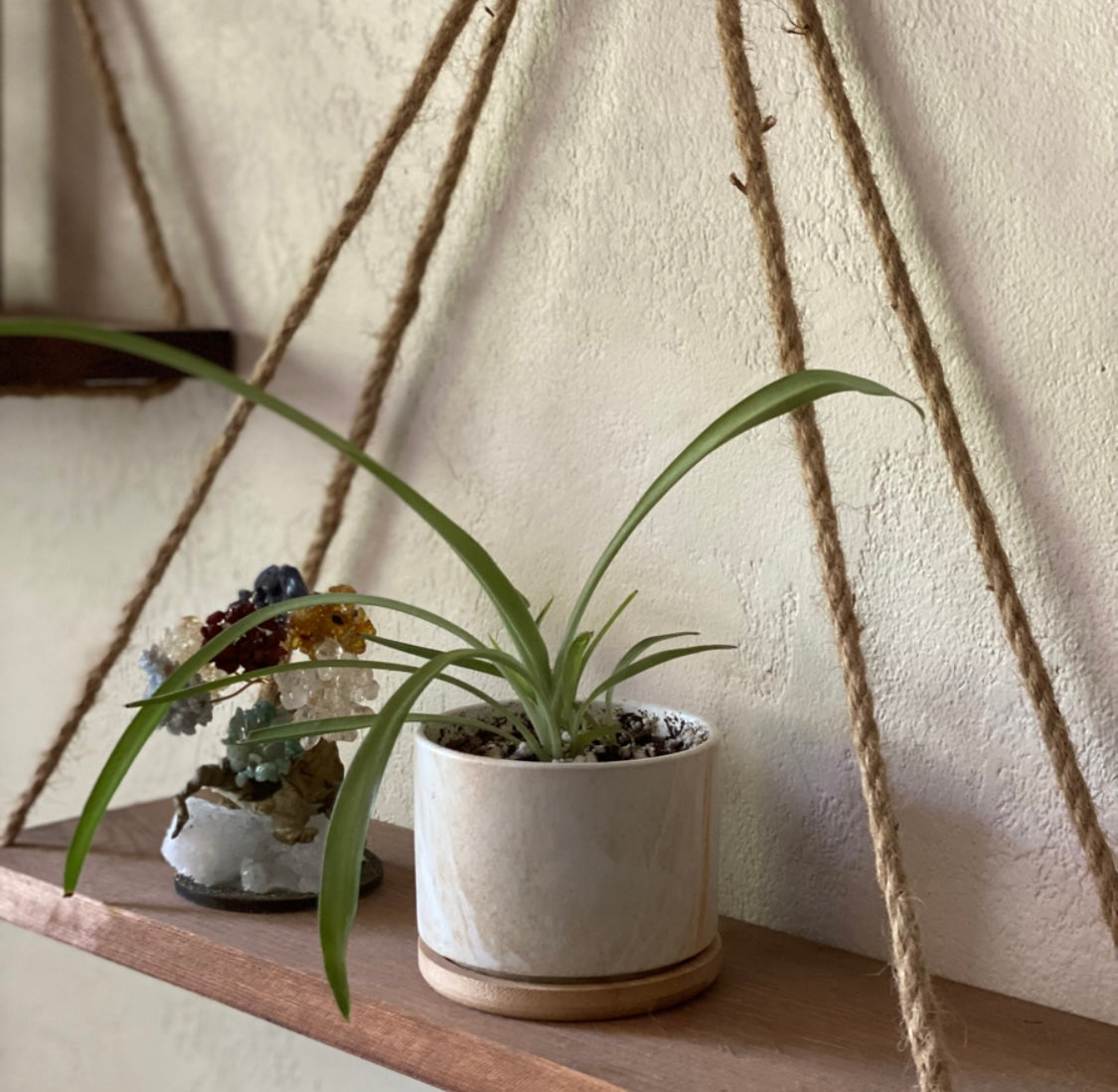 Ceramic Planter Pot