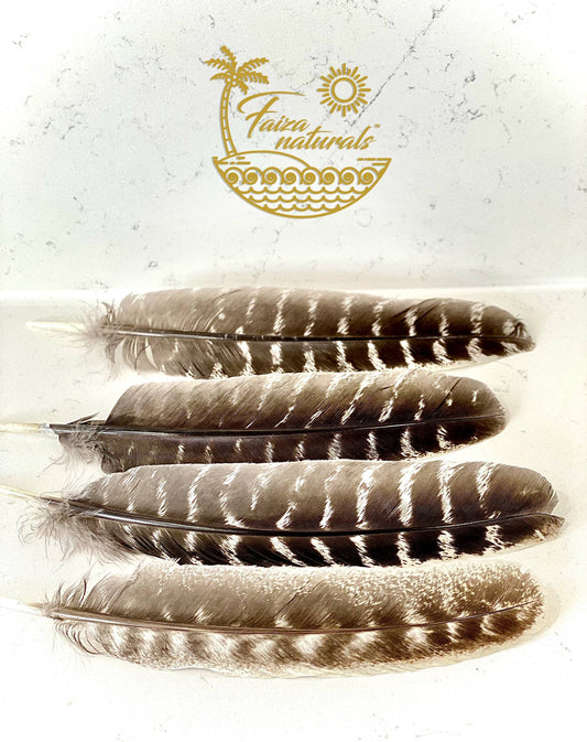 Smudging Feather